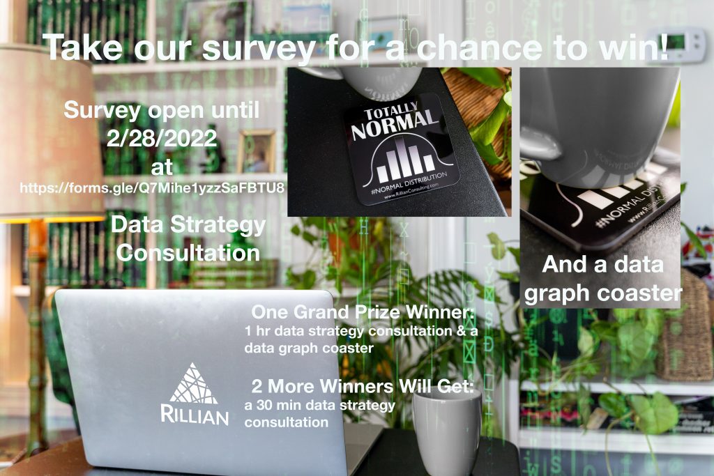 survey data strategy consultant consulting agency RILLIAN